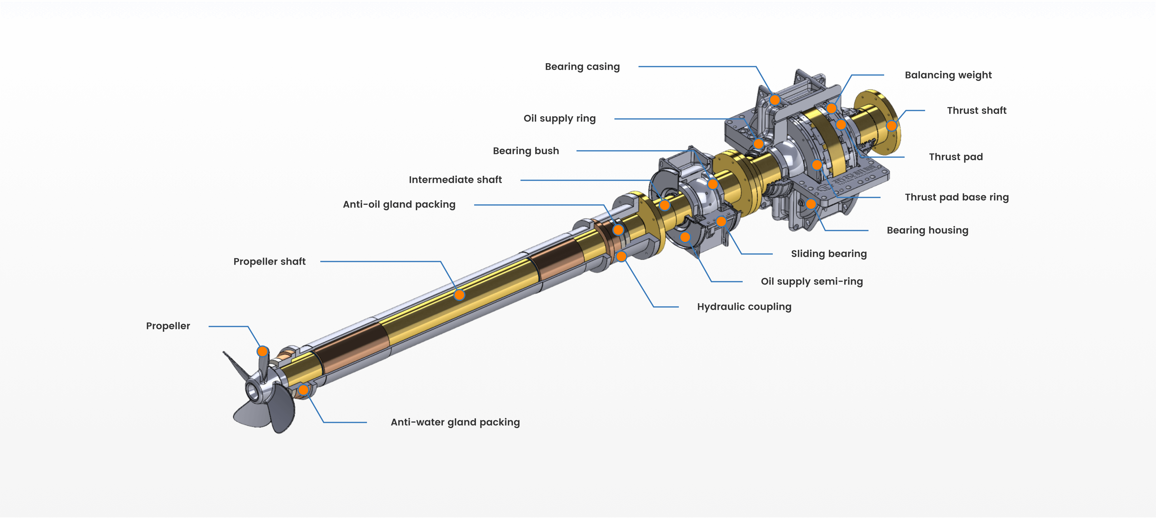 Frame 1000004073 (12).png